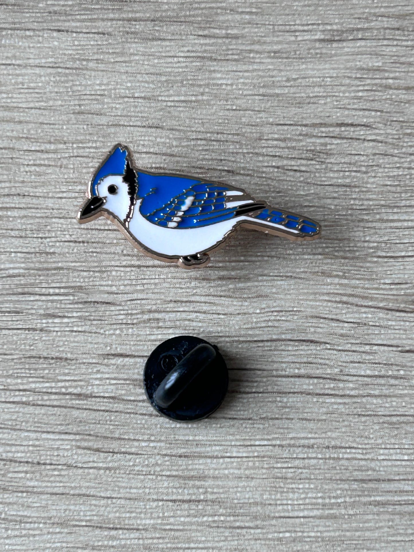 Pin's geai bleu