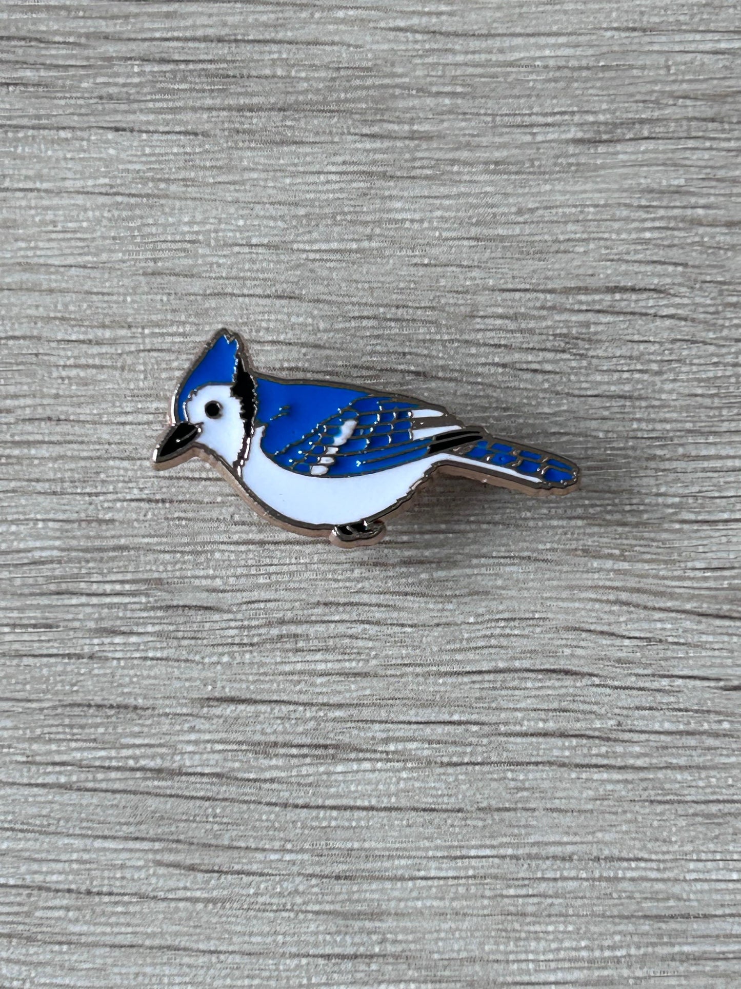 Pin's geai bleu